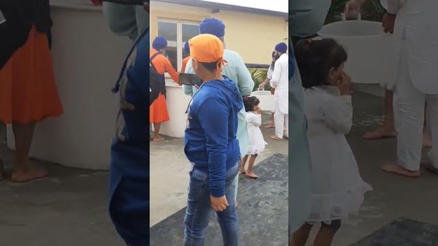 sewa nishan sahib locri ,reggio calabria смотреть онлайн