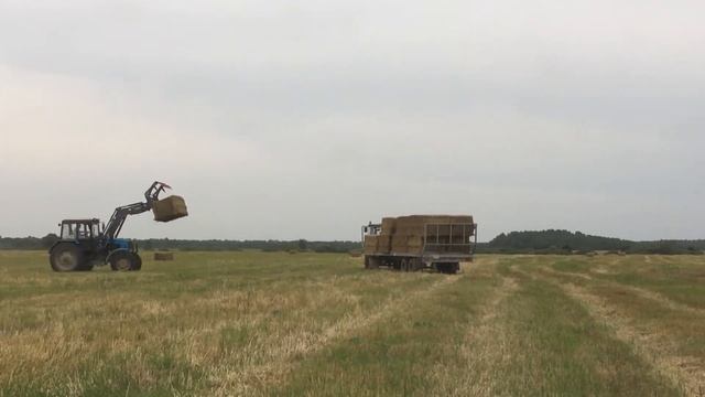 Мтз кун сельское хозяйство смотреть онлайн