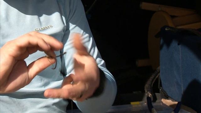 HOW TO: fish Kaw Dam for spoonbill year round. смотреть онлайн