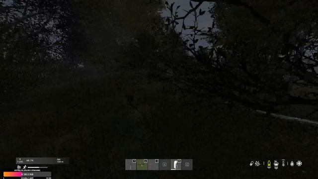 Вечерний забег по лесам. DayZ