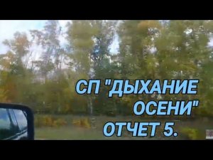 #сп_дыхание_осени #вязание_с_валентиной_романчук СП "ДЫХАНИЕ ОСЕНИ". Отчет 5.