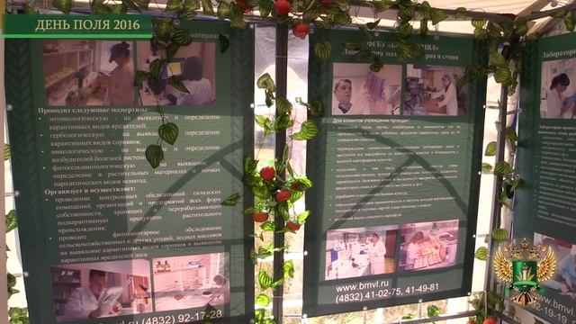 День поля 2016 смотреть онлайн