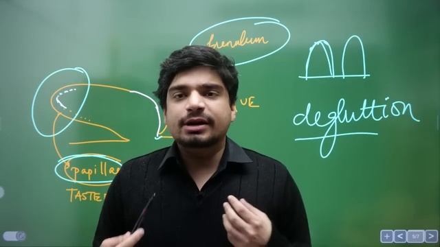 NCERT Based Human Physiology - Digestion and Absorption - Part I смотреть онлайн