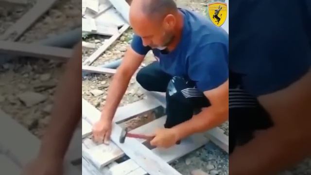 Шокирующее видео