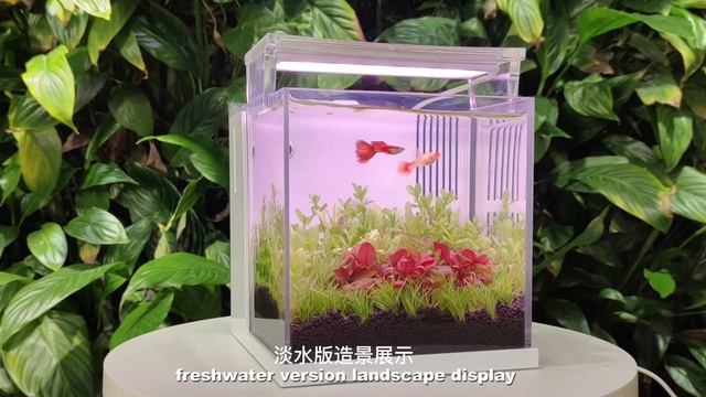 Qanvee mini table fish tank. WhatsApp:18553819880 смотреть онлайн