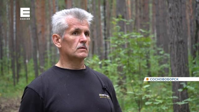 В Сосновоборске за год планируют достроить экопарк «Белкин дом» смотреть онлайн