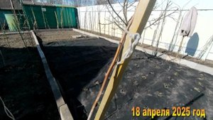7 соток. Пересадила помидоры и посадила клубнику. Хроника 18 апреля 2025 год