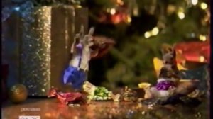 Белки с первого канала 2016-2017