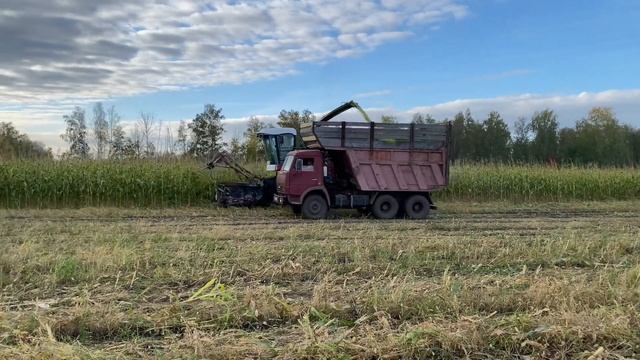 Российский Кормоуборочный комбайн Дон-680М на уборке кукурузы на силос смотреть онлайн