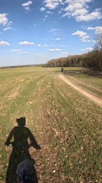 Красоты наших полей 🌳