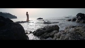 Журавли любви.Автор Минченков.