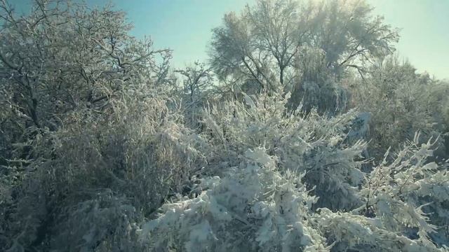 Красивый снежный Бишкек в конце ноября 2021 смотреть онлайн