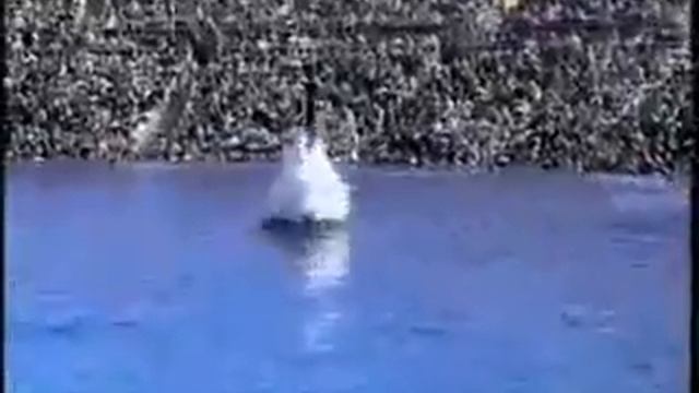 Дельфинарий смотреть онлайн