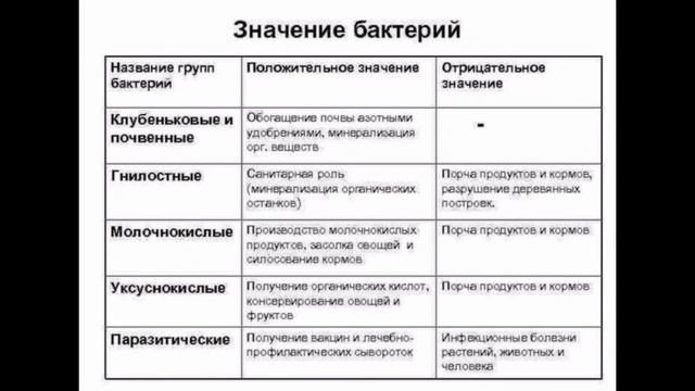 Образовательный видеоролик на тему: Микромир: незаметные организмы и их роль в экосистеме