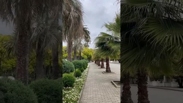 гид по Абхазии с душой 🌿🍃 Экскурсия прошла шикарно посещали город гагра Сухум и храм каманы  🙂😎🤠🌿😘