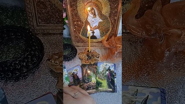 Что о вас говорят ща вашей спиной 🤔+79109877209⚡👁 смотреть онлайн