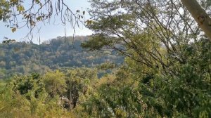 Прогулка по зоопарку Khao Kheow Open Zoo, Паттайя, Тайланд