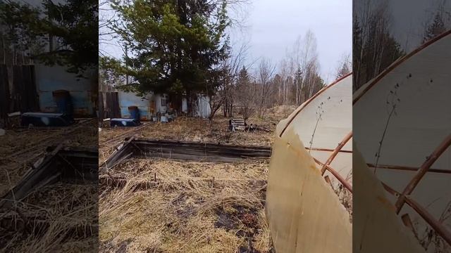 Сад