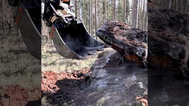 Wolverex-kauhamallisto | Häggblom смотреть онлайн