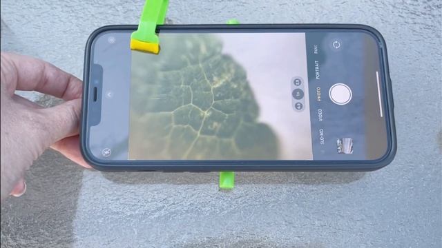 Outdoor Science Lab: Bugs, Plants, and Dirt (Smart Lab Toys) смотреть онлайн