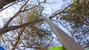 я нашёл место где можно спрятать калат в реальной жизни