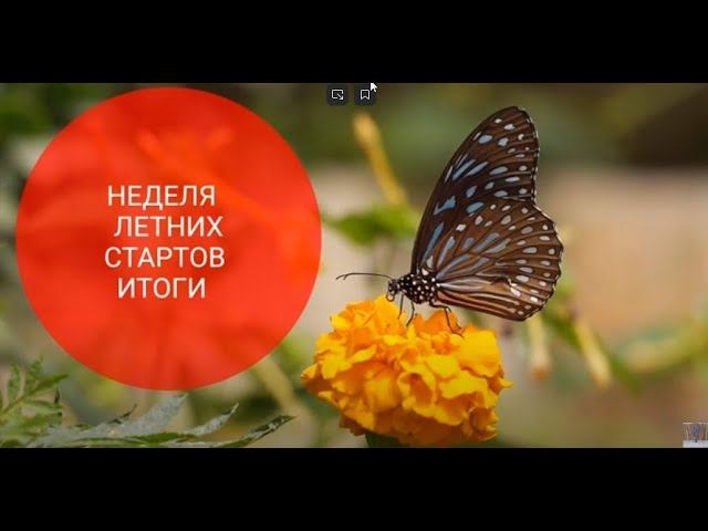 #летниестарты_с_рынашко ИТОГИ