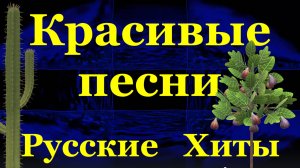 Сборник русский красивые песни лучшие хит