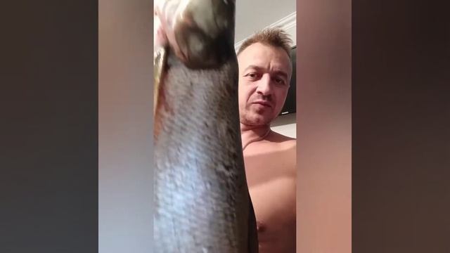 Папа в шоке 😲😲😲 пока я был на работе , сынок жерешков погонял ))) 💪💪💪