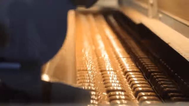 Работник продукции E Wedel  Z Pasji do czekolady