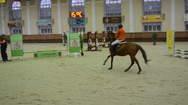 Выступление Ксении на Терике 60см (КСК Виват, Россия!) смотреть онлайн