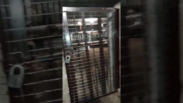 ОСББ Yu39. 31.12.2021. Итог уборки подвального помещения. Принимаем работу вместе. смотреть онлайн