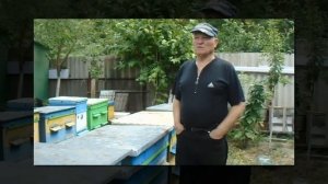 Как собрать гнездо пчел в зиму