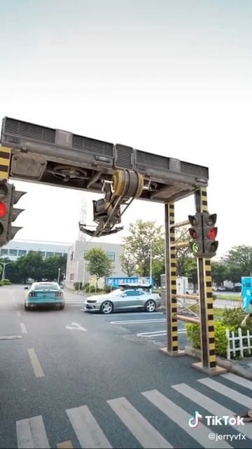 American Zebra Crossing Road Amezing Video  Zebra Crossing Amezing Video Short shorts