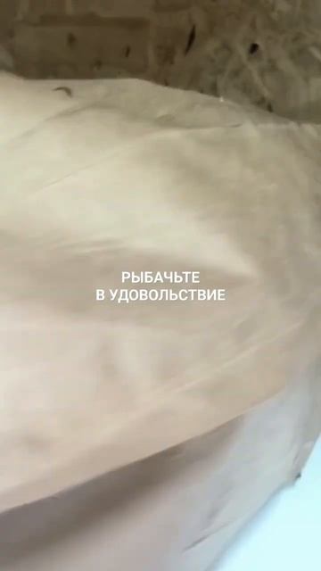 Ёрш вяленый едет в Москву.