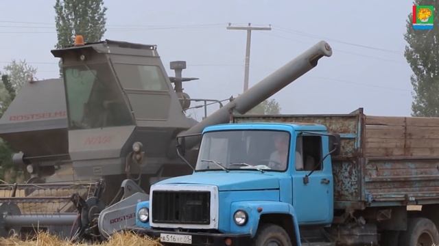 В Магарамкентском районе начался сбор зерновых культур смотреть онлайн