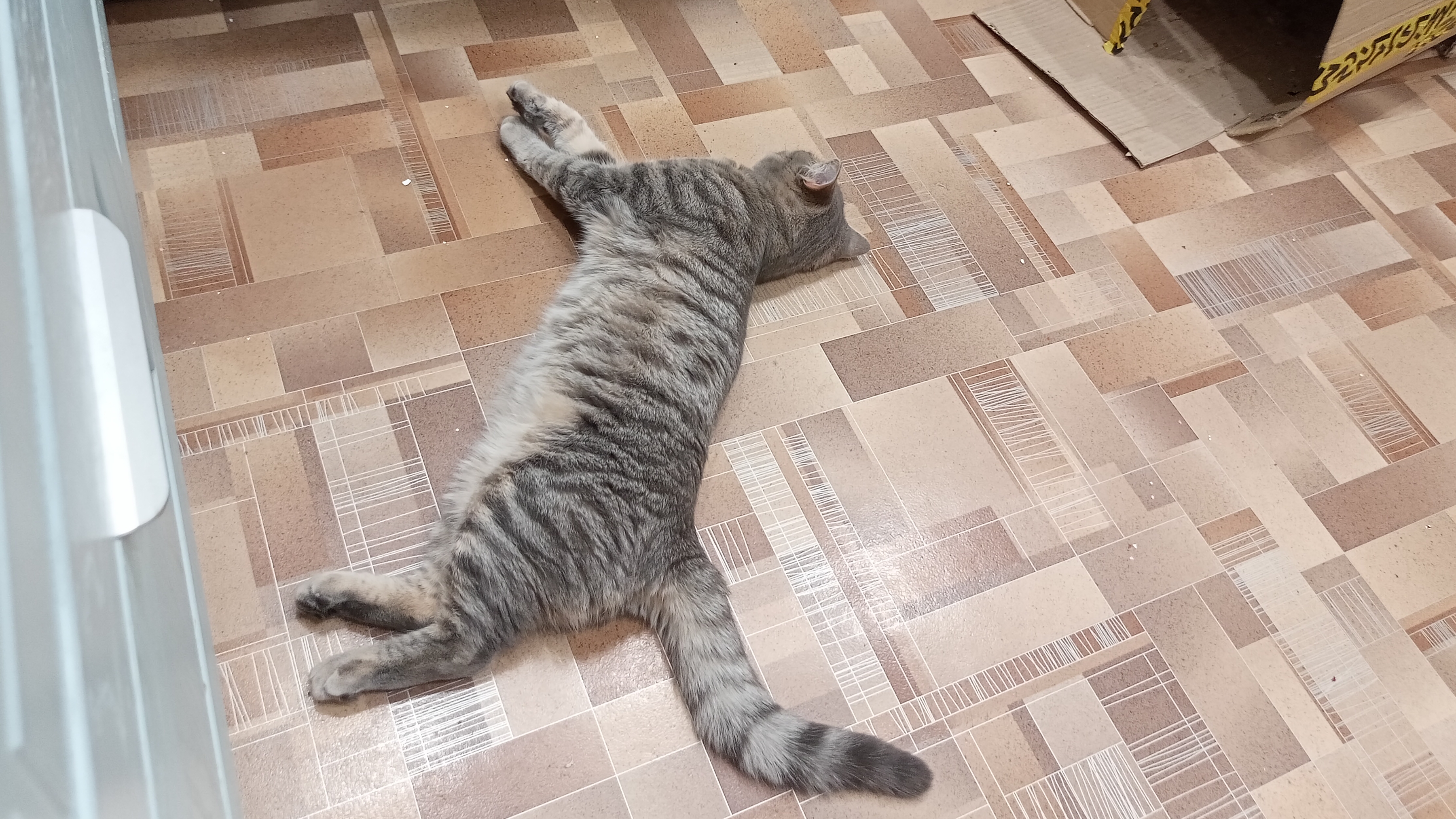 мечты и жизнь в деревне