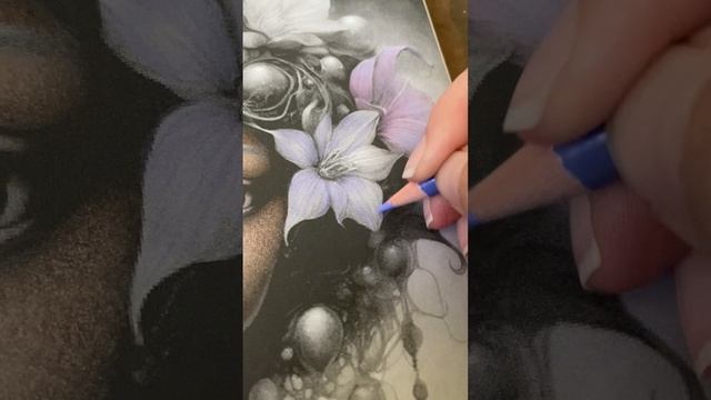 Brutfuner Macarons - let’s give them a try! смотреть онлайн