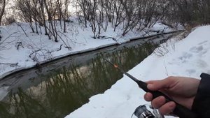 В ЭТОМ РУЧЬЕ ТОННЫ РЫБЫ! НЕВЕРОЯТНОЕ ОТКРЫТИЕ СЕЗОНА ЖИДКОЙ ВОДЫ СПИННИНГА 2024! Рыбалка на Алтае!