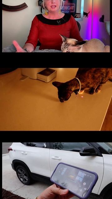 Scared of Leaving Your Cat Alone? The HHOLOVE O Sitter Companion AI Robot Has Got You Covered! смотреть онлайн