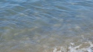 ЛАЗАРЕВСКОЕ ОТДЫХ