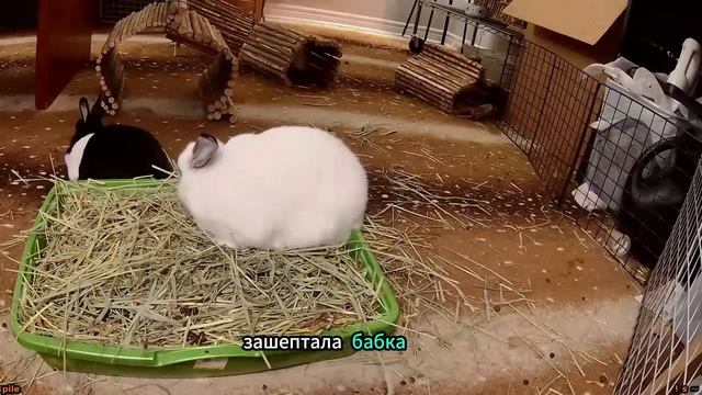 ЗАВТРА ВСЕ ЗАКОНЧИТСЯ смотреть онлайн