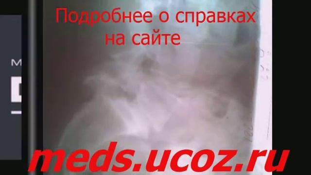 Автошкола минск медицинская справка