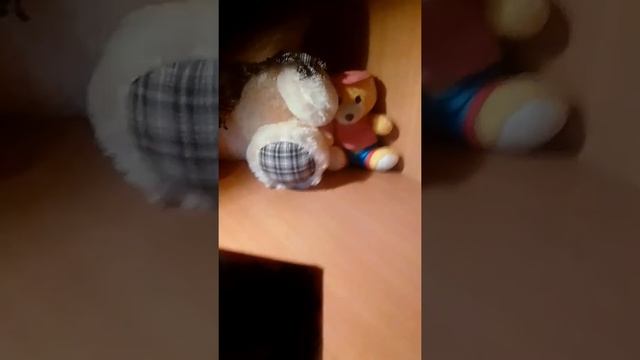 Упаковка игрушек смотреть онлайн