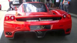 LOUD Ferrari Enzo | Start-Up, Rev & Track Action!