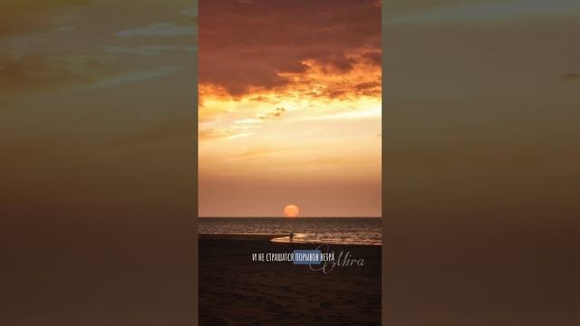 Mira - «А люди любят» #современнаяпоэзия #стихи #стихидлядуши