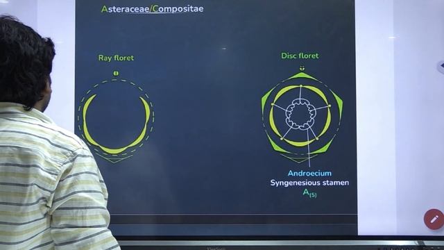 New Added Families of Morphology in Flowering plants By ĂĎ ŠÎŘ
