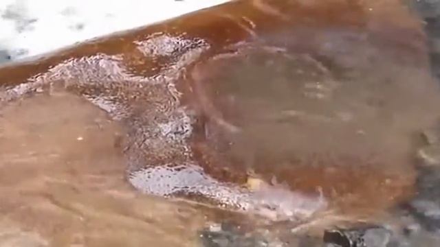 Мелис Нукси Сағым жылдар қазақша ән