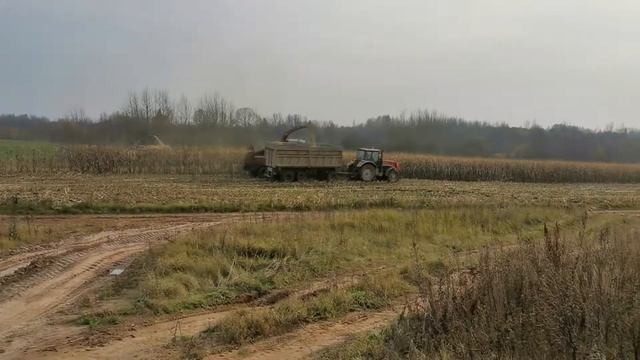 Уборка кукурузы. смотреть онлайн