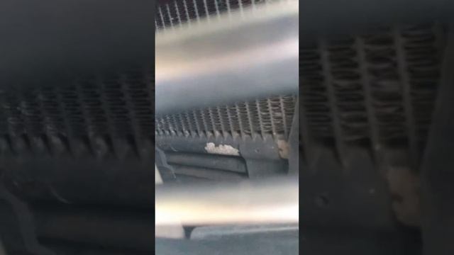 skoda octavia V5 2.0 lux na żywo fani aut смотреть онлайн