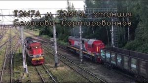 ТЭМ7А и ТЭМ14, Бекасово-Сортировочное, возле пл 240 км